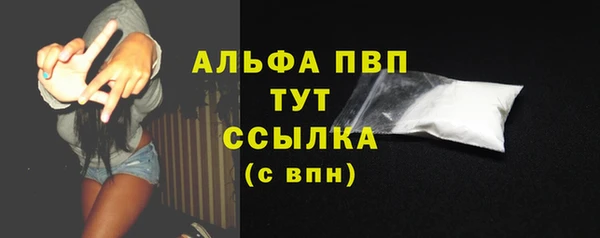 дмт Белокуриха