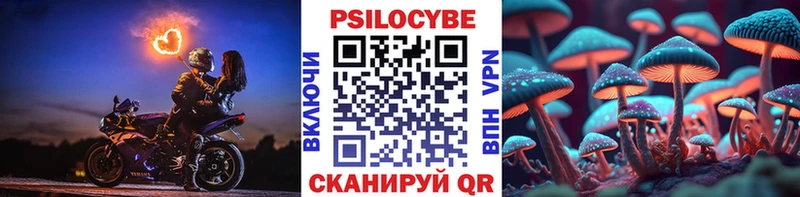 дарнет шоп  Белоярский  Псилоцибиновые грибы Magic Shrooms 
